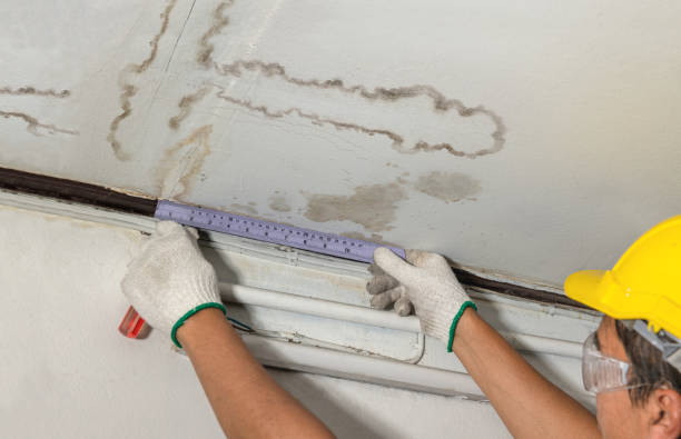 Reliable Mold Remediation contractor in Gold Hill, OR by Water Damage Irwin
